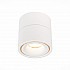Светодиодный спот ST Luce ST652.542.12