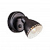 Спот Citilux Робуста CL509512