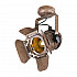 Спот Globo Egon 54650-1W