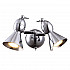 Спот Arte Lamp Picchio A9229AP-2CC