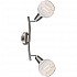 Спот Globo Elliott 54341-2
