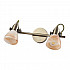 Спот Arte Lamp A9581AP-2AB