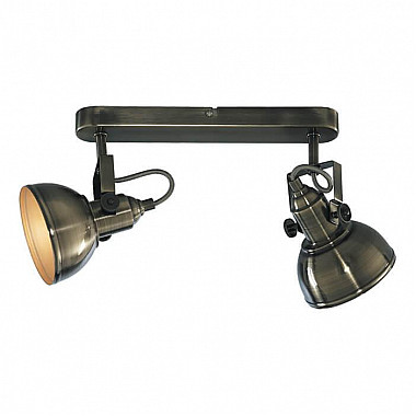 Спот Arte Lamp Martin A5213AP-2AB
