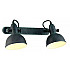 Спот Arte Lamp Martin A5213AP-2BG