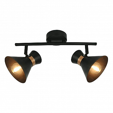 Спот Arte Lamp Baltimore A1406AP-2BK