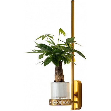 Бра Greenery 4050-1W