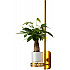 Бра Greenery 4050-1W