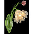 Бра Rose ROSE 11462/1W GREEN