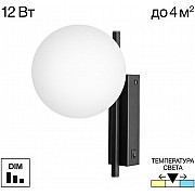 Бра Dorsy CL223312