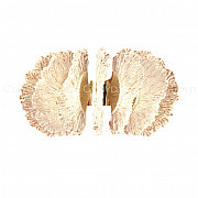 Бра Antigua 20363