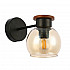 Бра Evoluce Rasco SLE108101-01