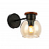 Бра Evoluce Rasco SLE108101-01