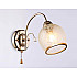 Бра Ambrella light Traditional TR3195