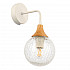 Бра Evoluce Lione SLE109501-01
