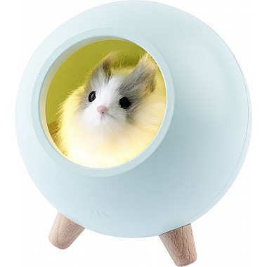 Ночник NLED-468-1W-GR