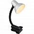 Настольная лампа Globo Vanzone 24862SI