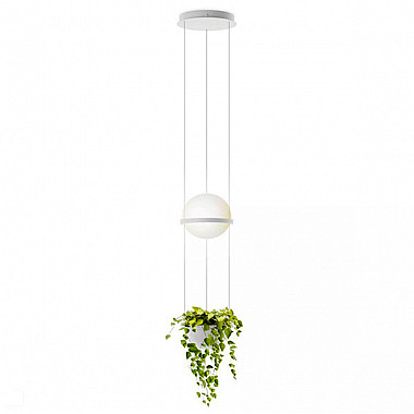 Светильник Palma Pendant By Vibia