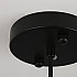 Подвесная люстра FANNY 12 Black