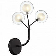 Настенный светильник FIOCHI WALL