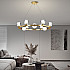Подвесная люстра ILIANA CH D60 Brass Black