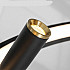 Подвесная люстра RAPID CH D100 Black Brass