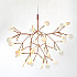 Люстра Moooi Heracleum 2 Small D72 Copper by Bertjan Pot