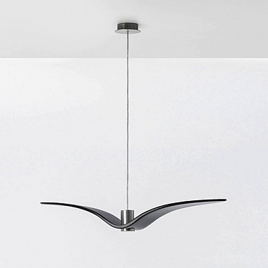Brokis Night Birds Black L50