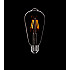 Лампа Loft Edison Bulb LED ST64 2C4