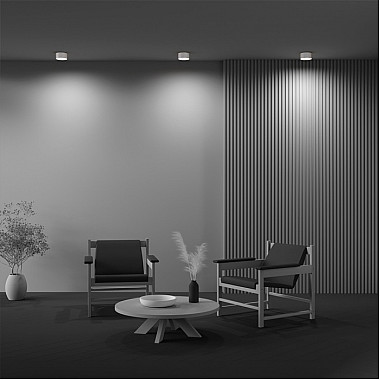 Потолочный светильник Zon C032CL-12W2.7K-RD-W