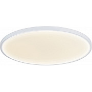 Потолочный светильник Disco DL20171R24NW1W