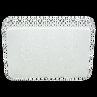 Потолочный светильник 07197-9.2-120WL