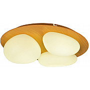 Потолочный светильник SS1L 000024980