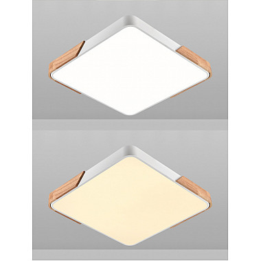 Потолочный светильник Scandinavian LED LAMPS 81411