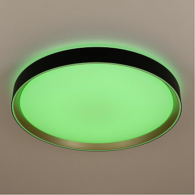 Потолочный светильник Boss CL751451G