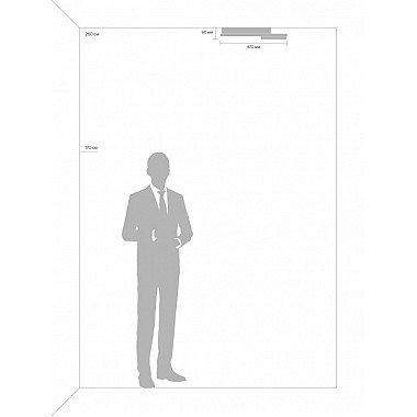 Потолочный светильник Nation Market FR10028CL-L80B