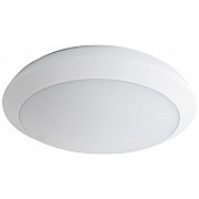 Потолочный светильник DABA 19062