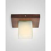 Потолочный светильник SS1N 000036799