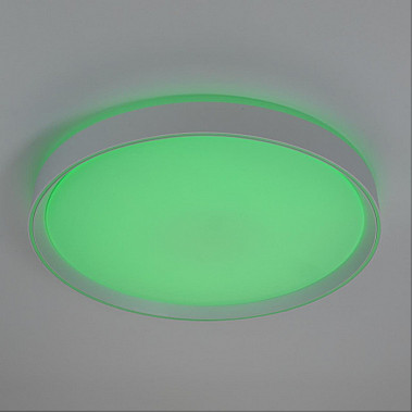 Потолочный светильник Boss CL751450G