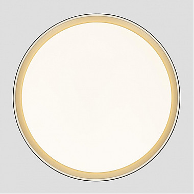 Потолочный светильник Boss CL751451G