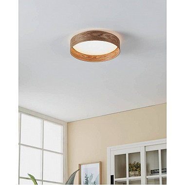 Потолочный светильник LUPPINERIA 900463