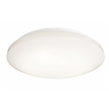 Потолочный светильник Euro LED 348021