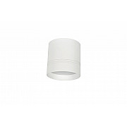 Потолочный светильник Dl18482 DL18482/WW-White R