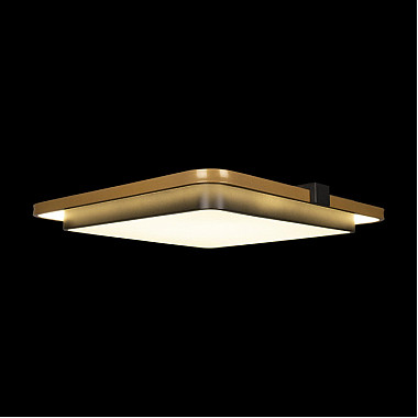 Потолочный светильник Mike 10172