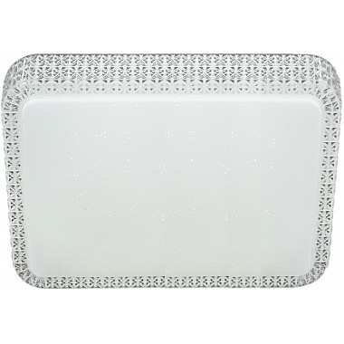 Потолочный светильник 07197-9.2-120WL