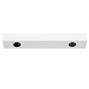 Потолочный светильник DL18629 DL18629/2Kit W Dim