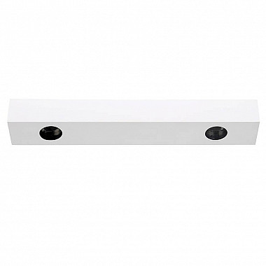 Потолочный светильник DL18629 DL18629/2Kit W Dim