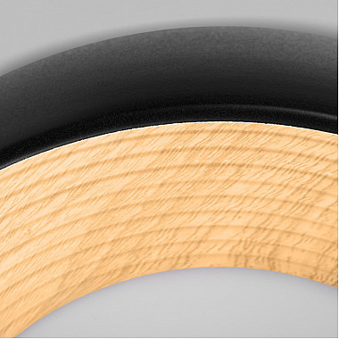 Потолочный светильник Folk 10255/350 Black