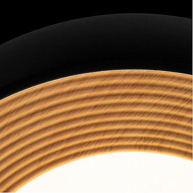 Потолочный светильник Folk 10255/350 Black