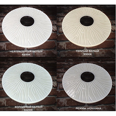 Потолочный светильник Липси 45439.45.90.77