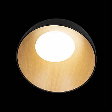 Потолочный светильник Egg 10197/350 Black